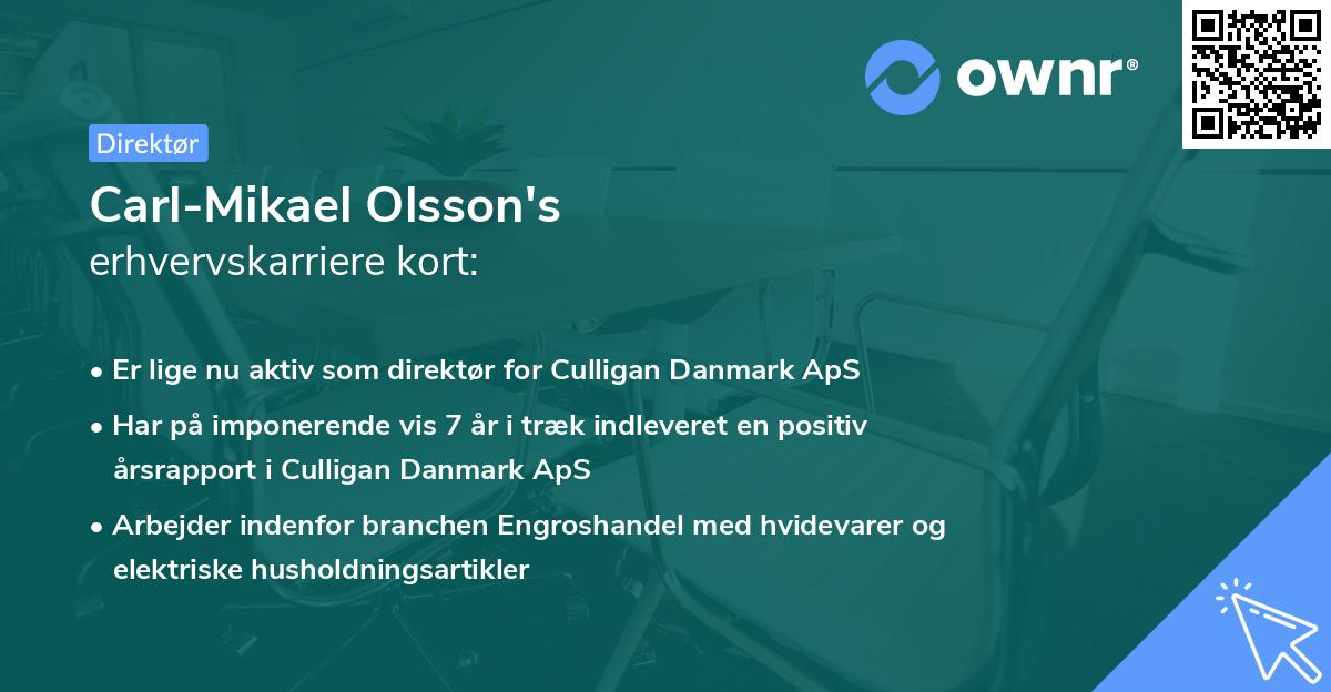 Carl-Mikael Olsson's erhvervskarriere kort