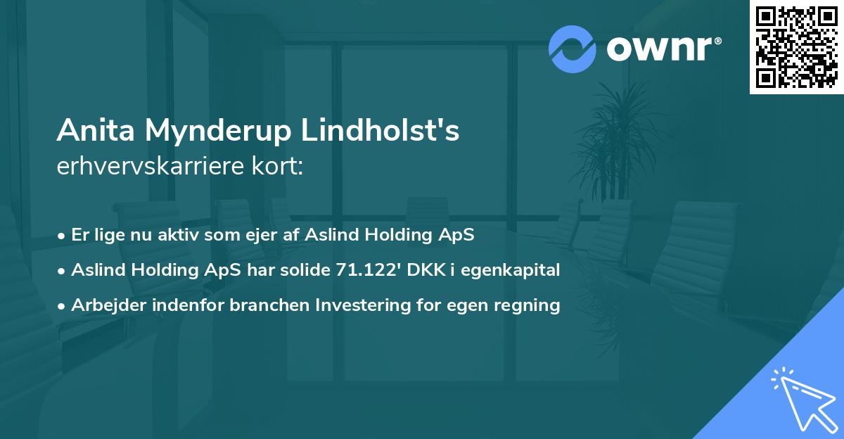 Anita Mynderup Lindholst's erhvervskarriere kort