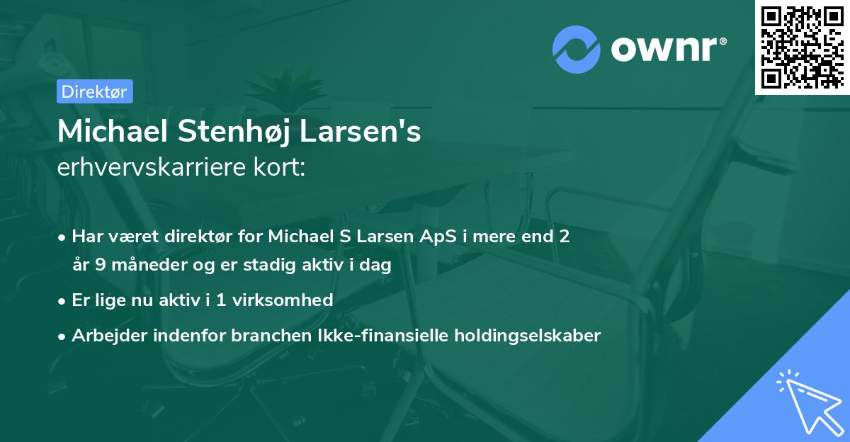 Michael Stenhøj Larsen's erhvervskarriere kort