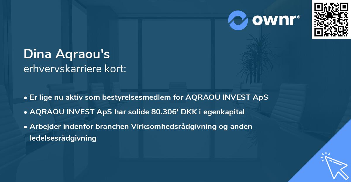 Dina Aqraou's erhvervskarriere kort