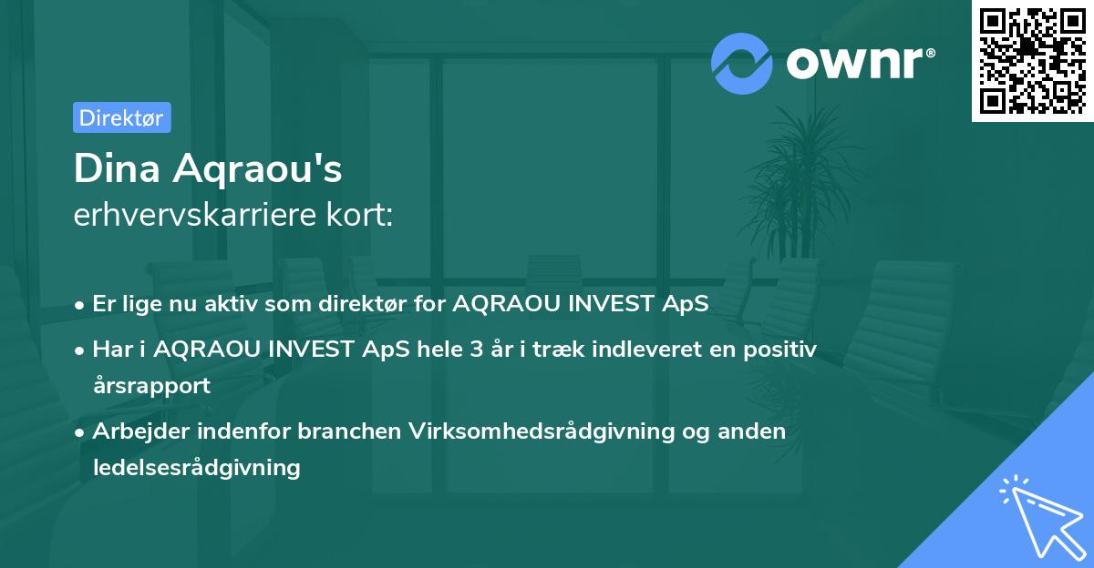 Dina Aqraou's erhvervskarriere kort