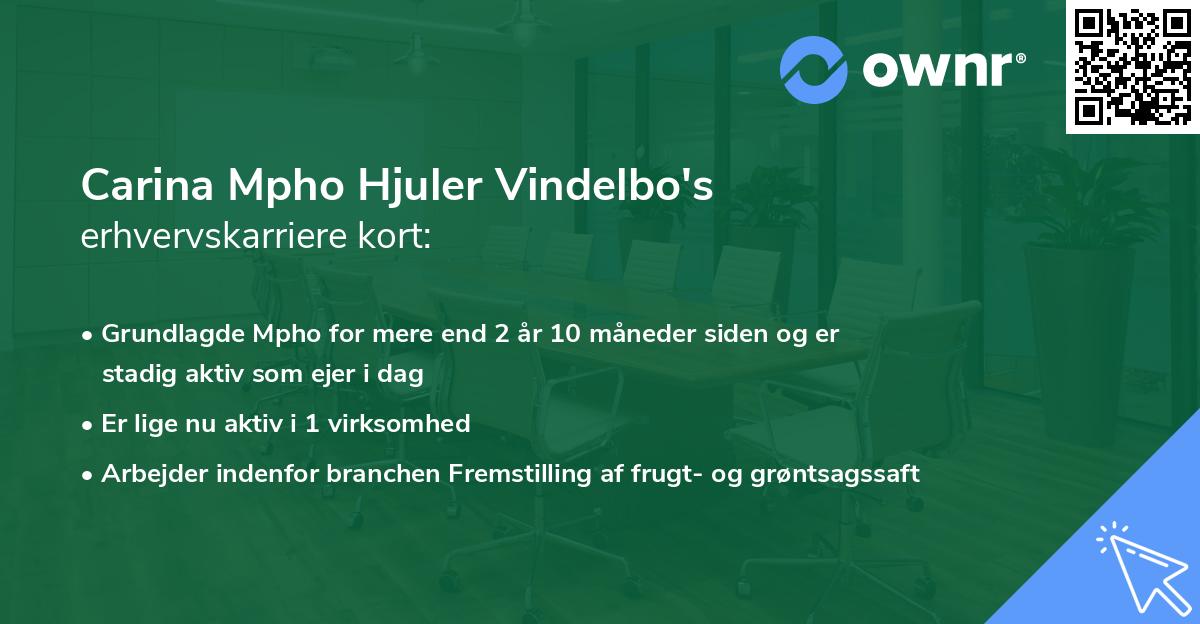 Carina Mpho Hjuler Vindelbo's erhvervskarriere kort