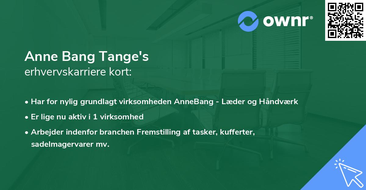 Anne Bang Tange's erhvervskarriere kort