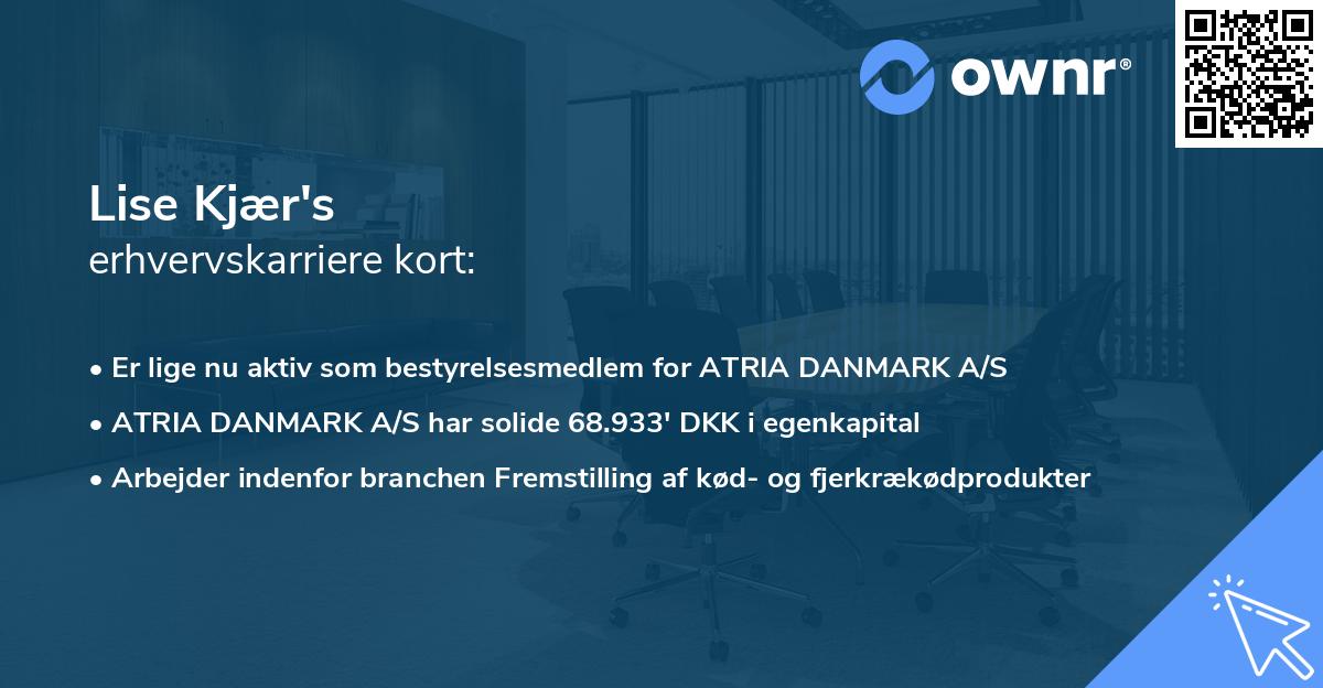 Lise Kjær's erhvervskarriere kort