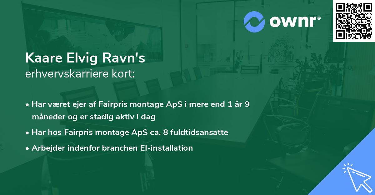 Kaare Elvig Ravn's erhvervskarriere kort