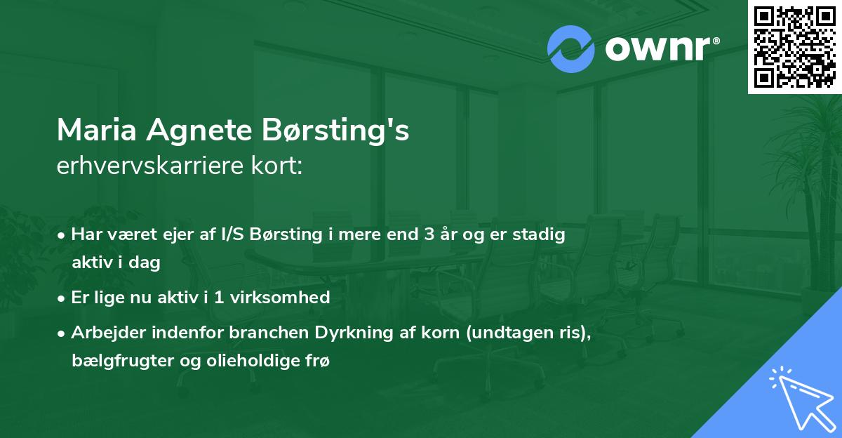 Maria Agnete Børsting's erhvervskarriere kort