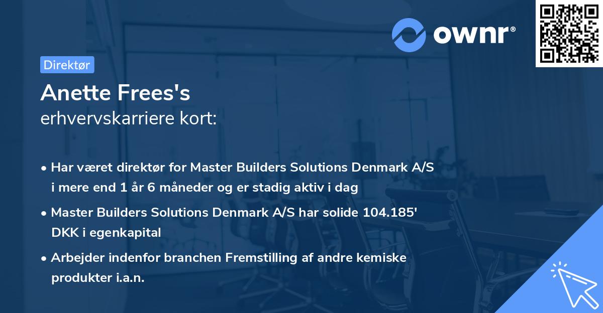 Anette Frees's erhvervskarriere kort