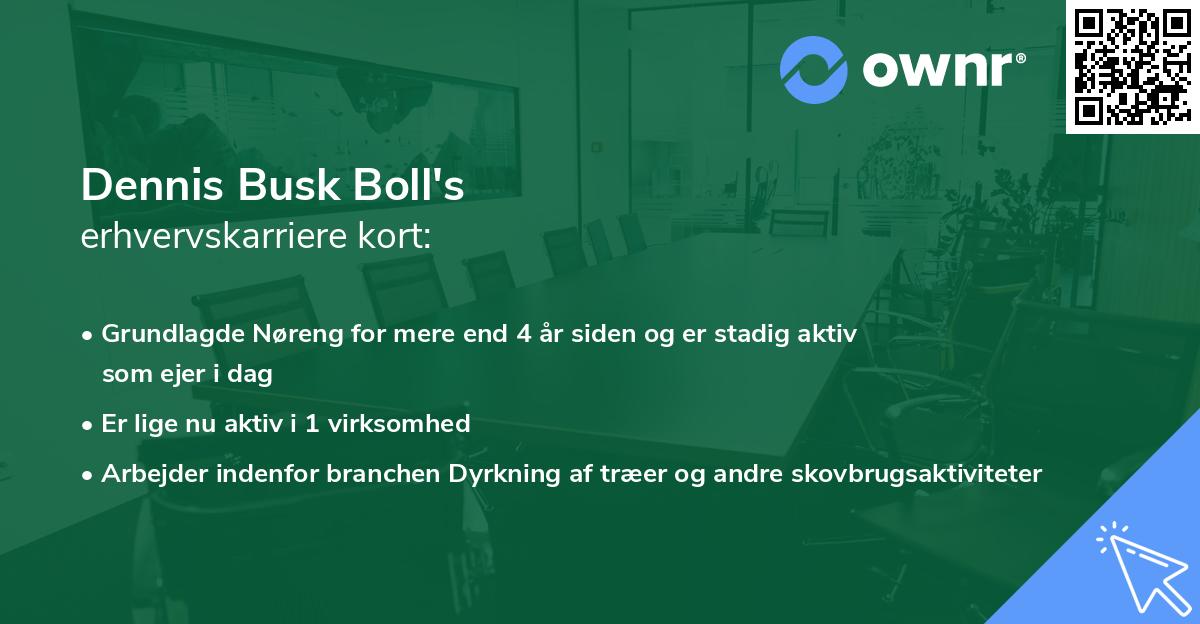 Dennis Busk Boll's erhvervskarriere kort
