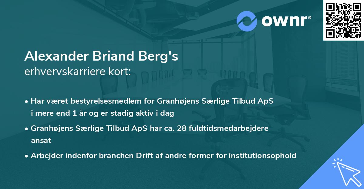 Alexander Briand Berg's erhvervskarriere kort