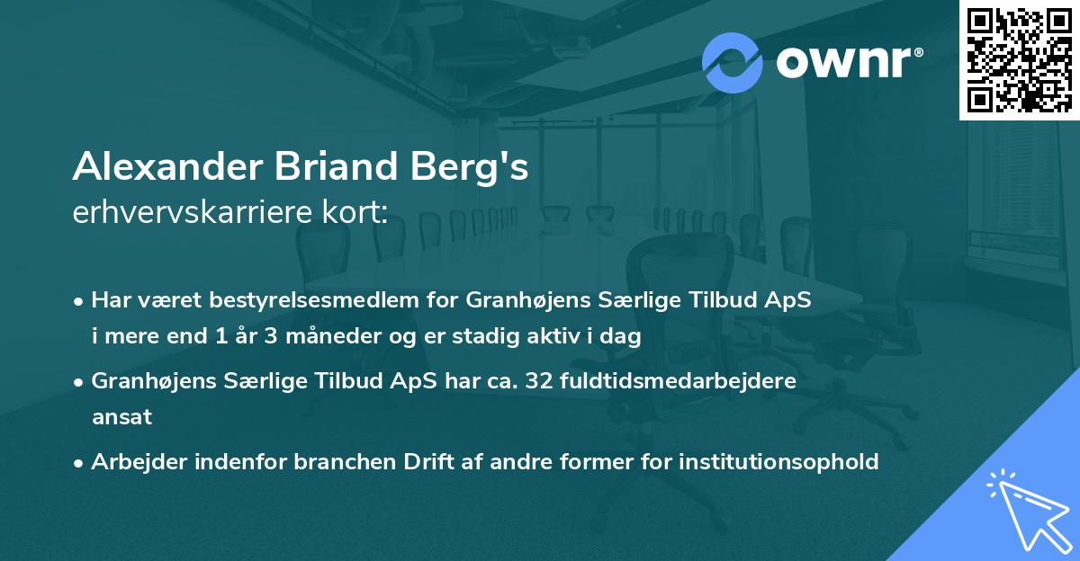 Alexander Briand Berg's erhvervskarriere kort