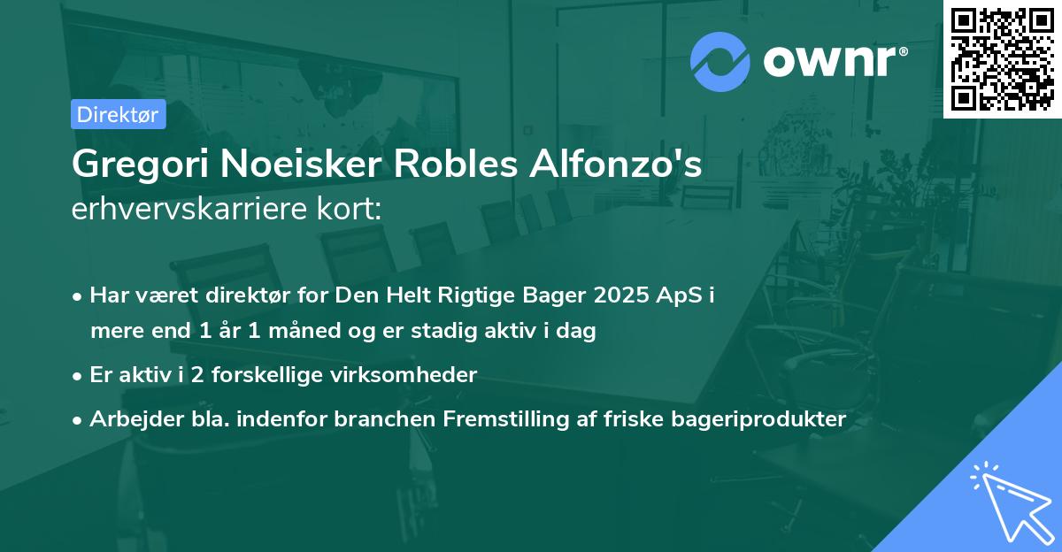 Gregori Noeisker Robles Alfonzo's erhvervskarriere kort