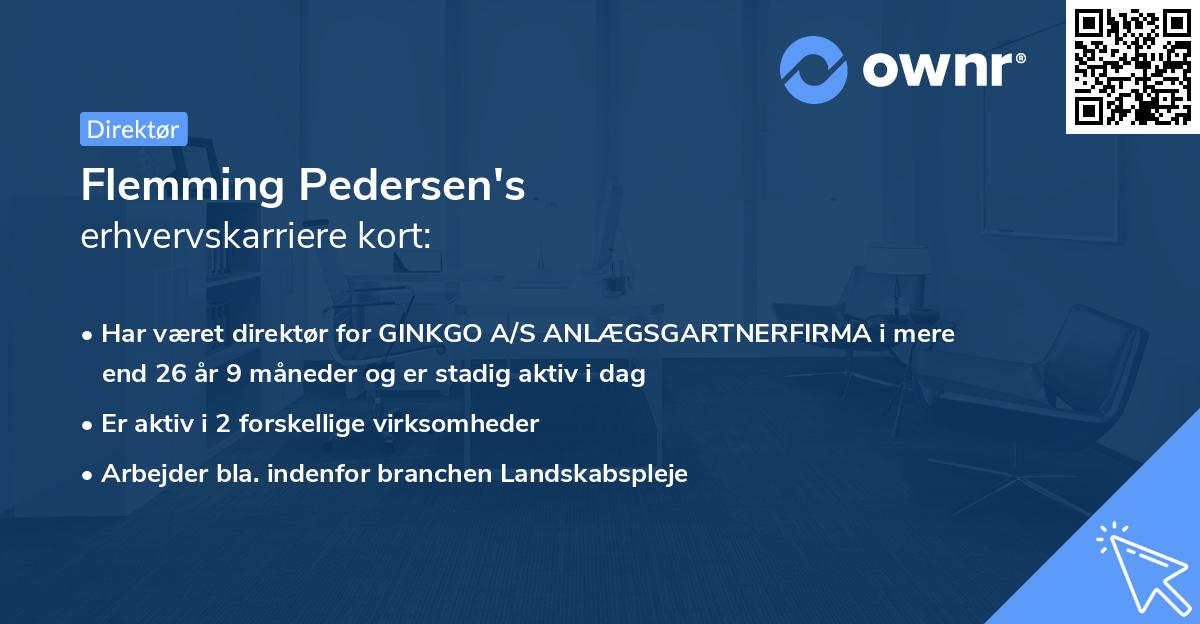 Flemming Pedersen's erhvervskarriere kort