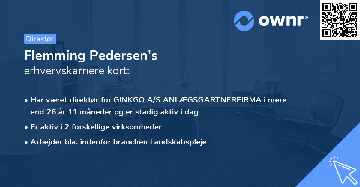 Flemming Pedersen's erhvervskarriere kort