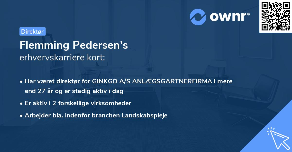 Flemming Pedersen's erhvervskarriere kort