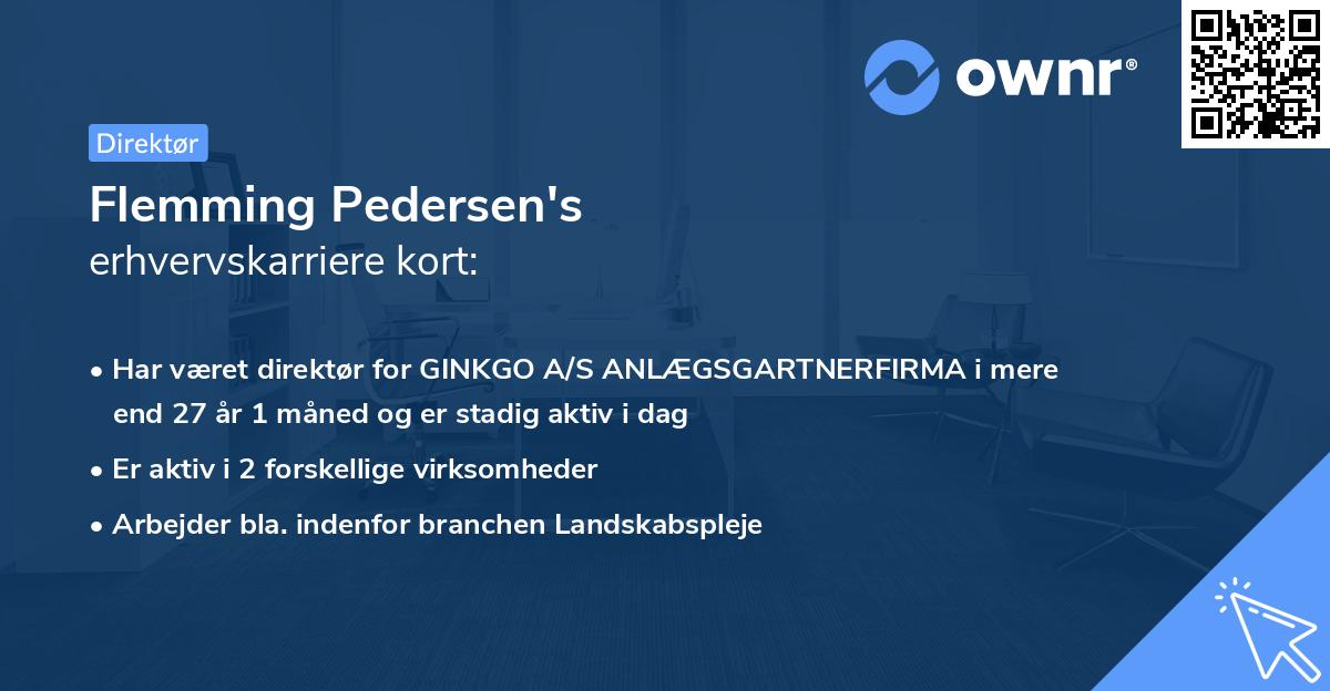 Flemming Pedersen's erhvervskarriere kort