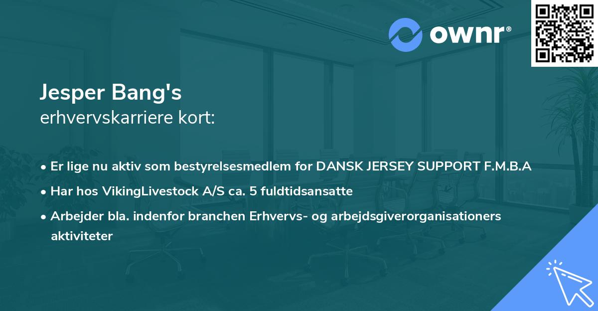 Jesper Bang's erhvervskarriere kort