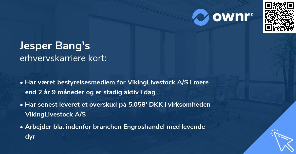 Jesper Bang's erhvervskarriere kort