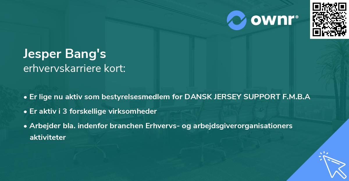 Jesper Bang's erhvervskarriere kort