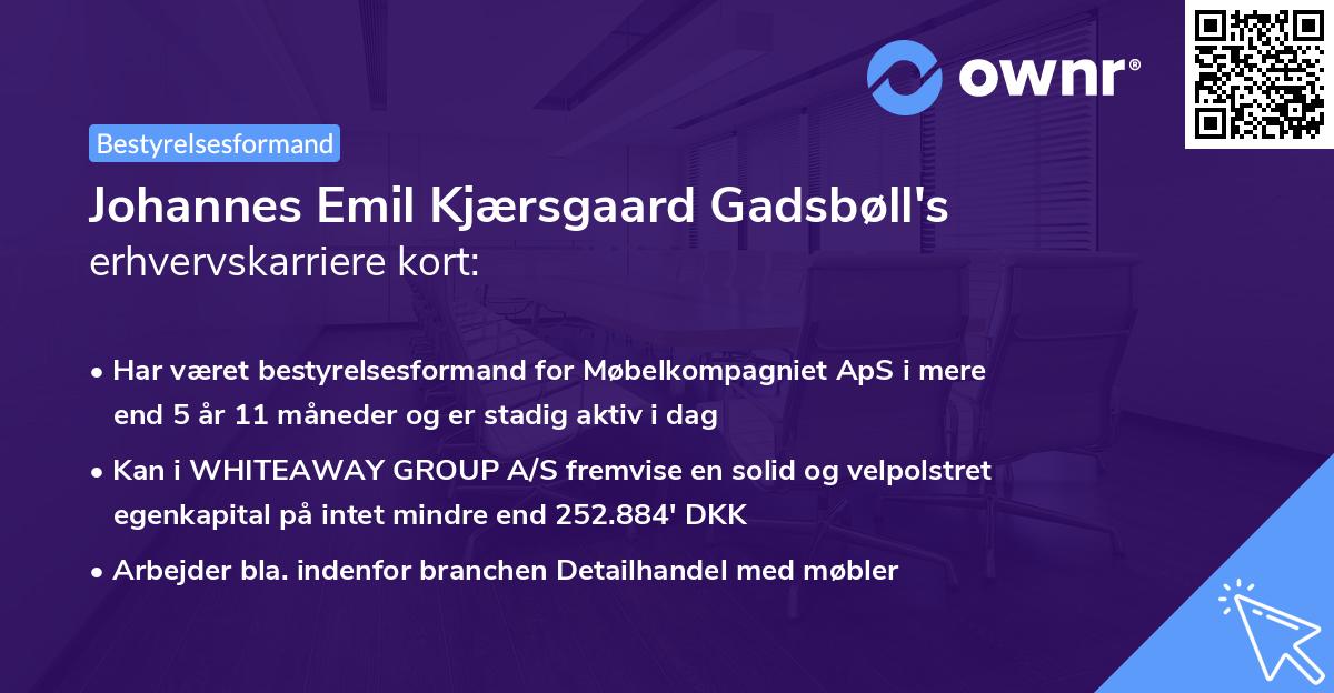 Johannes Emil Kjærsgaard Gadsbøll's erhvervskarriere kort