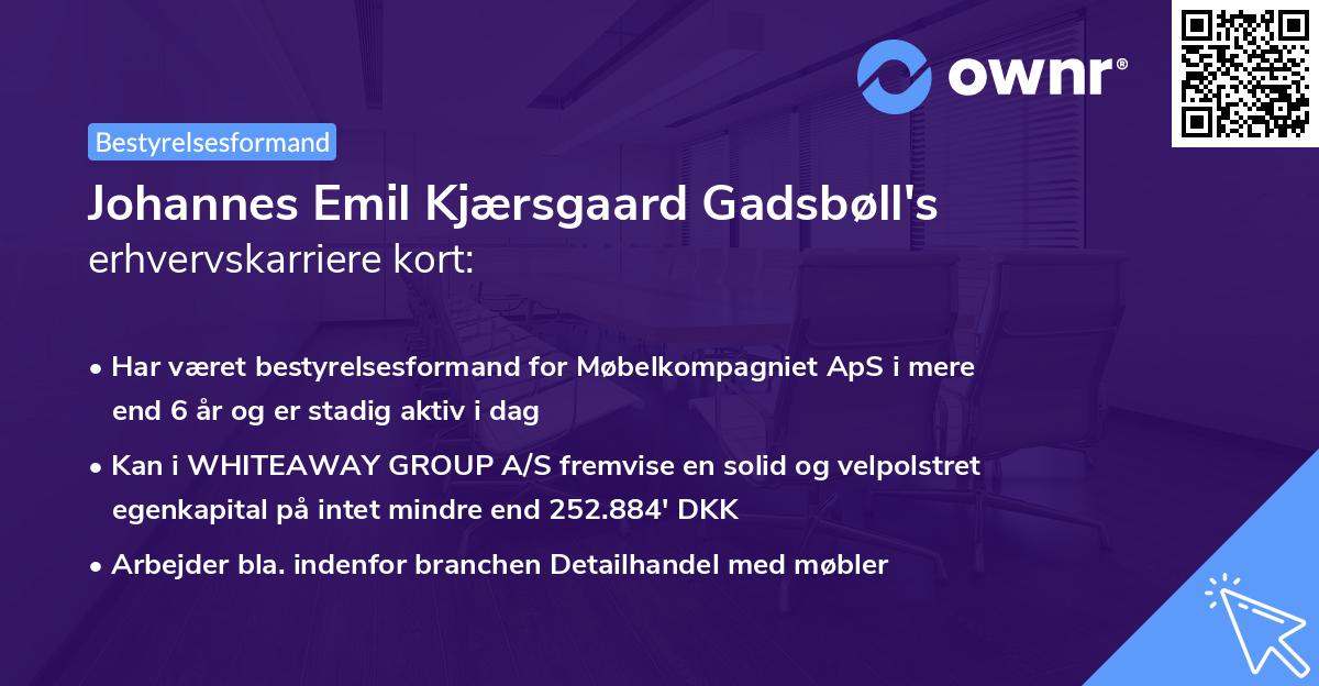 Johannes Emil Kjærsgaard Gadsbøll's erhvervskarriere kort