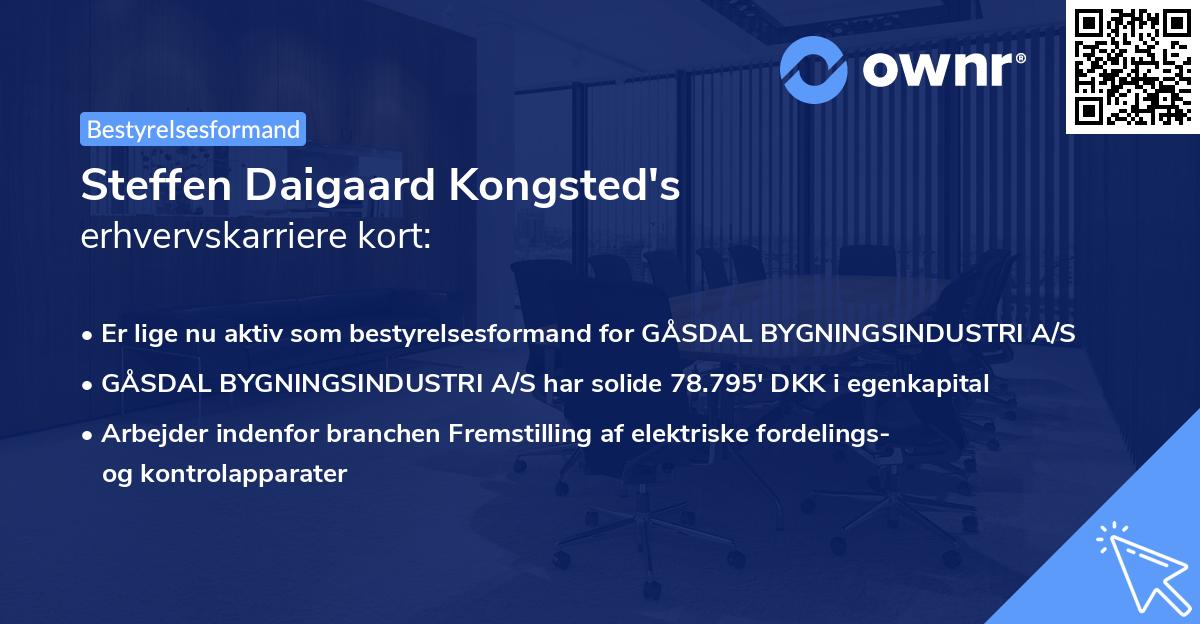 Steffen Daigaard Kongsted's erhvervskarriere kort