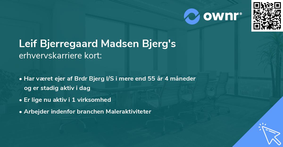 Leif Bjerregaard Madsen Bjerg's erhvervskarriere kort
