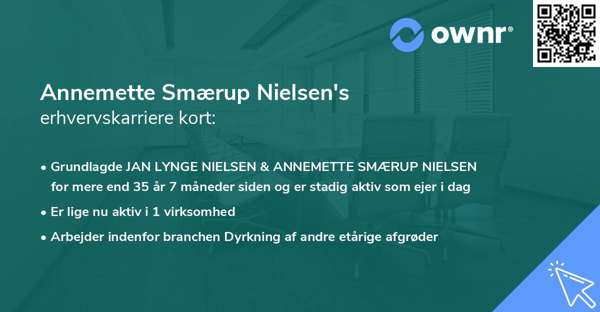 Annemette Smærup Nielsen's erhvervskarriere kort