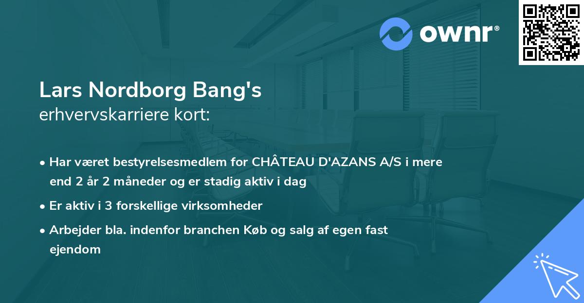 Lars Nordborg Bang's erhvervskarriere kort