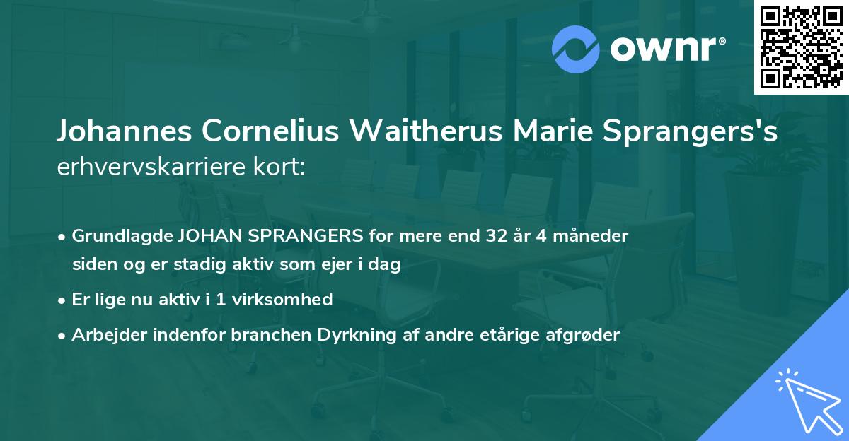 Johannes Cornelius Waitherus Marie Sprangers's erhvervskarriere kort