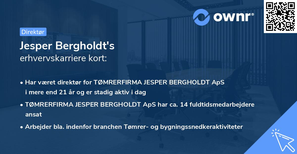 Jesper Bergholdt's erhvervskarriere kort