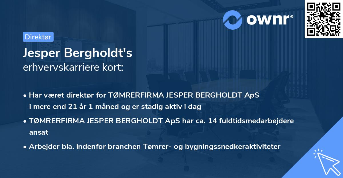 Jesper Bergholdt's erhvervskarriere kort