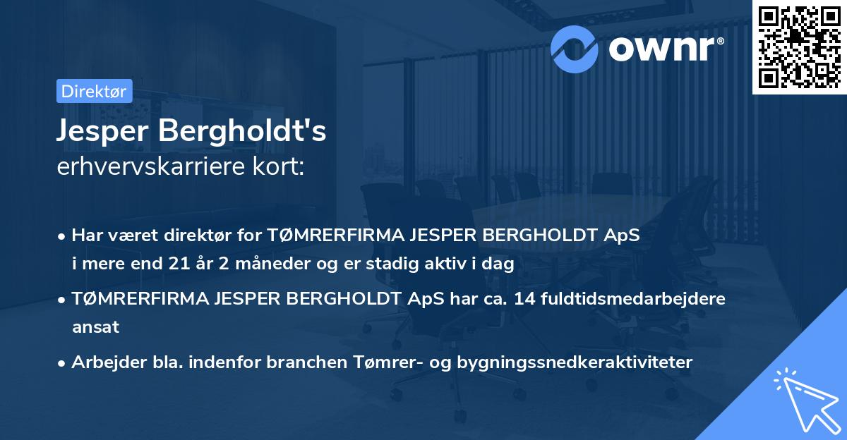 Jesper Bergholdt's erhvervskarriere kort