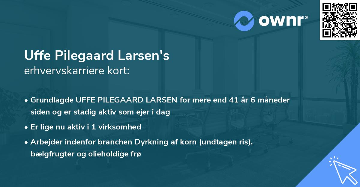Uffe Pilegaard Larsen's erhvervskarriere kort