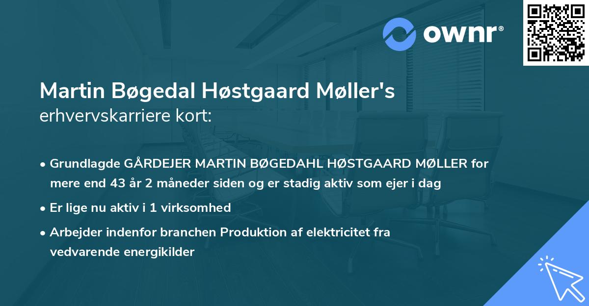 Martin Bøgedal Høstgaard Møller's erhvervskarriere kort