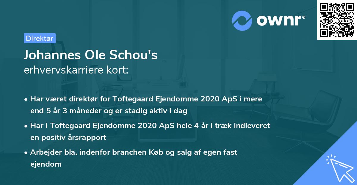 Johannes Ole Schou's erhvervskarriere kort