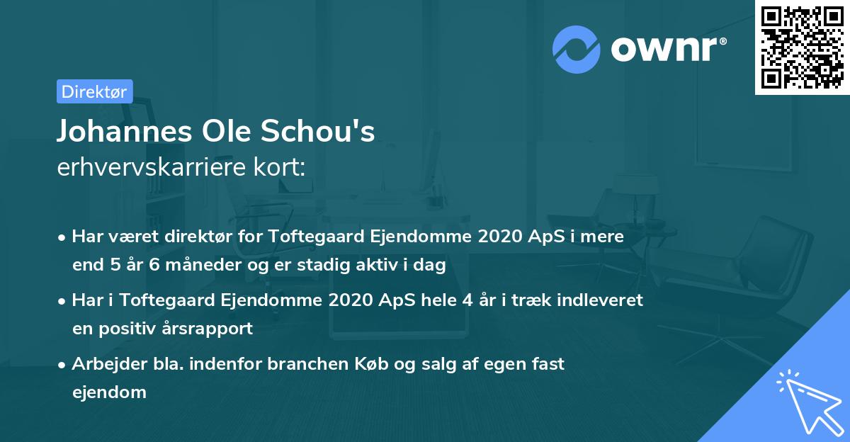 Johannes Ole Schou's erhvervskarriere kort