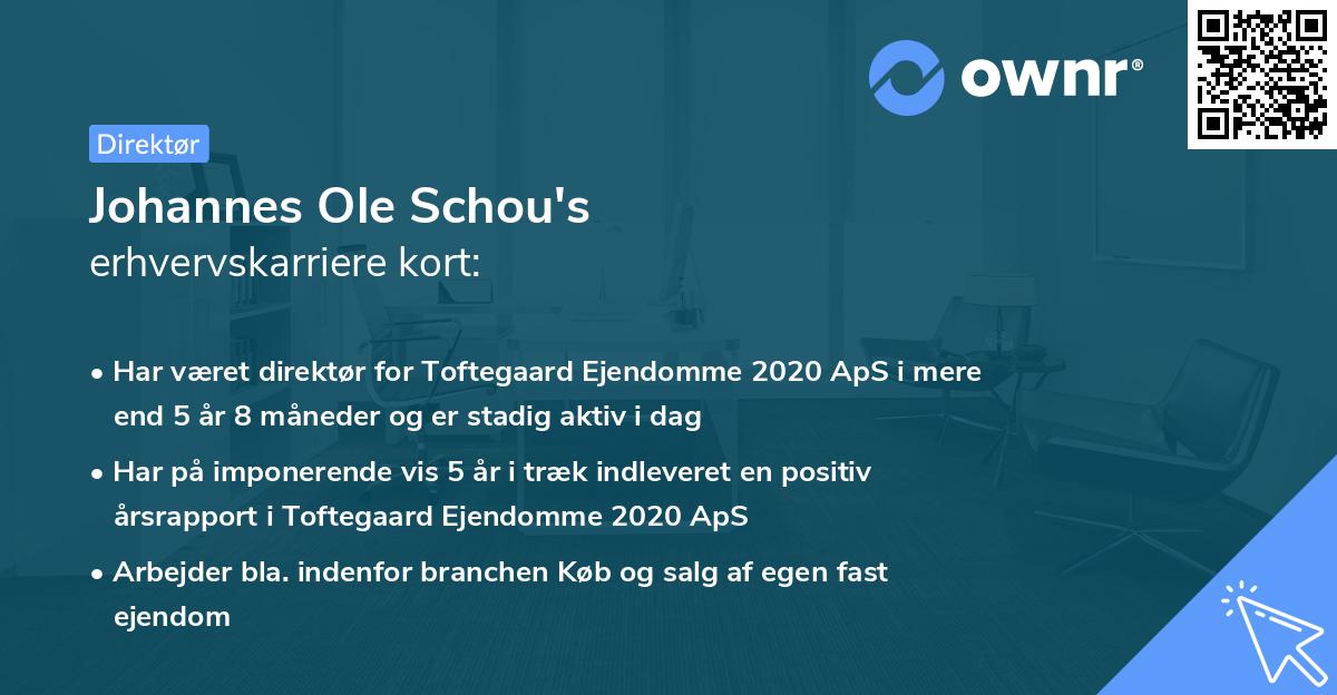 Johannes Ole Schou's erhvervskarriere kort