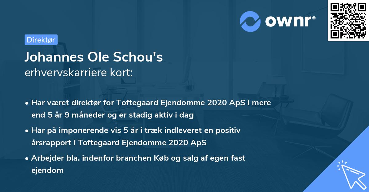 Johannes Ole Schou's erhvervskarriere kort