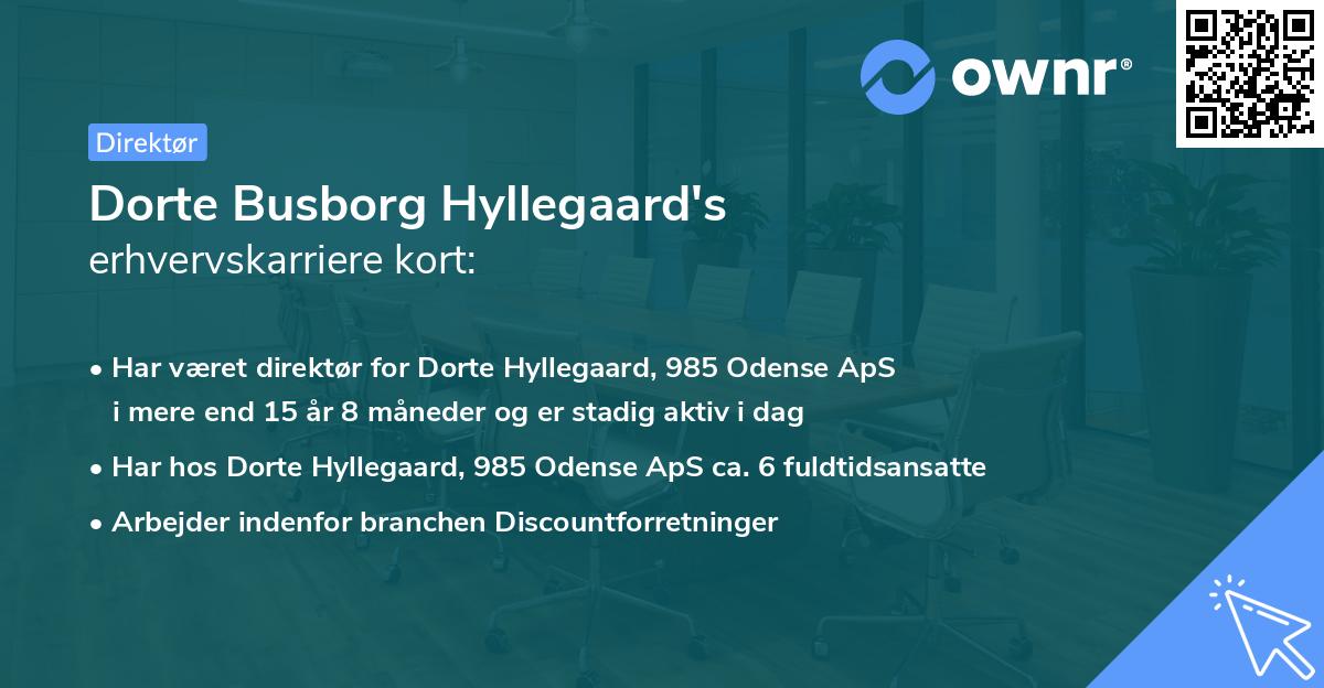 Dorte Busborg Hyllegaard's erhvervskarriere kort