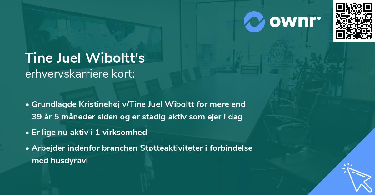 Tine Juel Wiboltt's erhvervskarriere kort