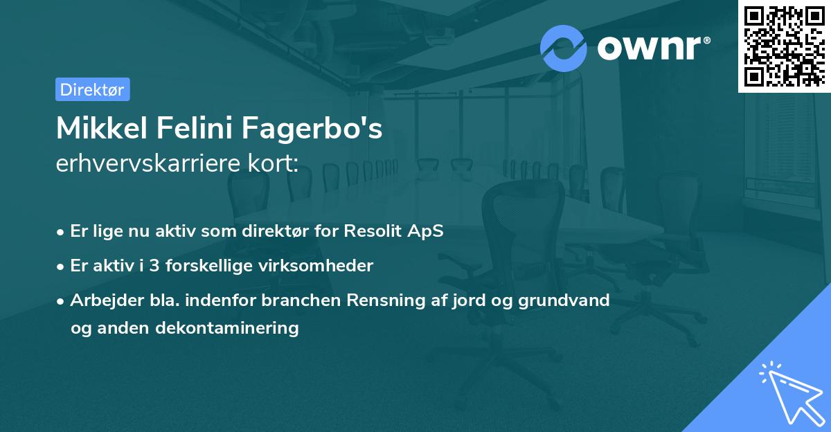 Mikkel Felini Fagerbo's erhvervskarriere kort