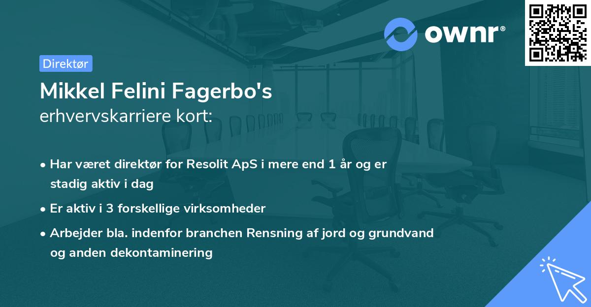 Mikkel Felini Fagerbo's erhvervskarriere kort