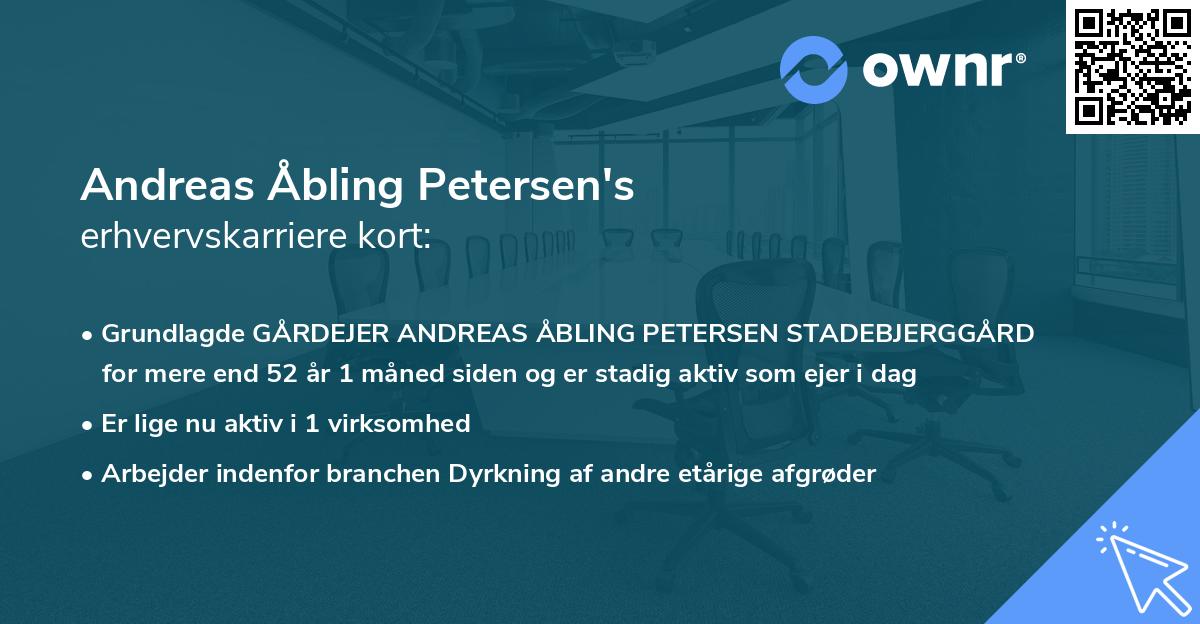 Andreas Åbling Petersen's erhvervskarriere kort