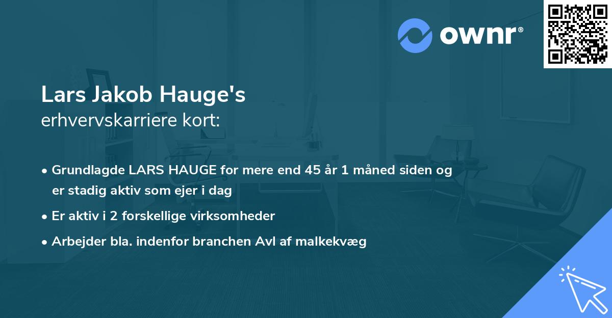 Lars Jakob Hauge's erhvervskarriere kort