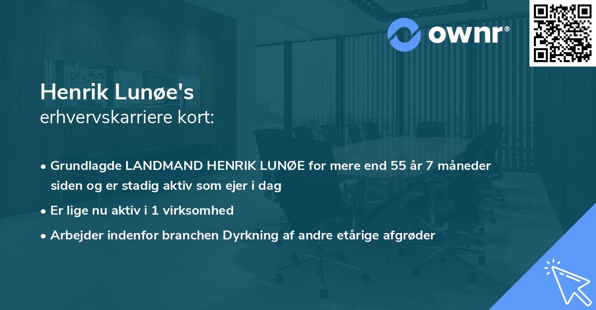 Henrik Lunøe's erhvervskarriere kort