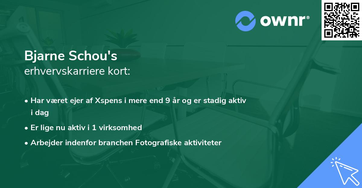 Bjarne Schou's erhvervskarriere kort