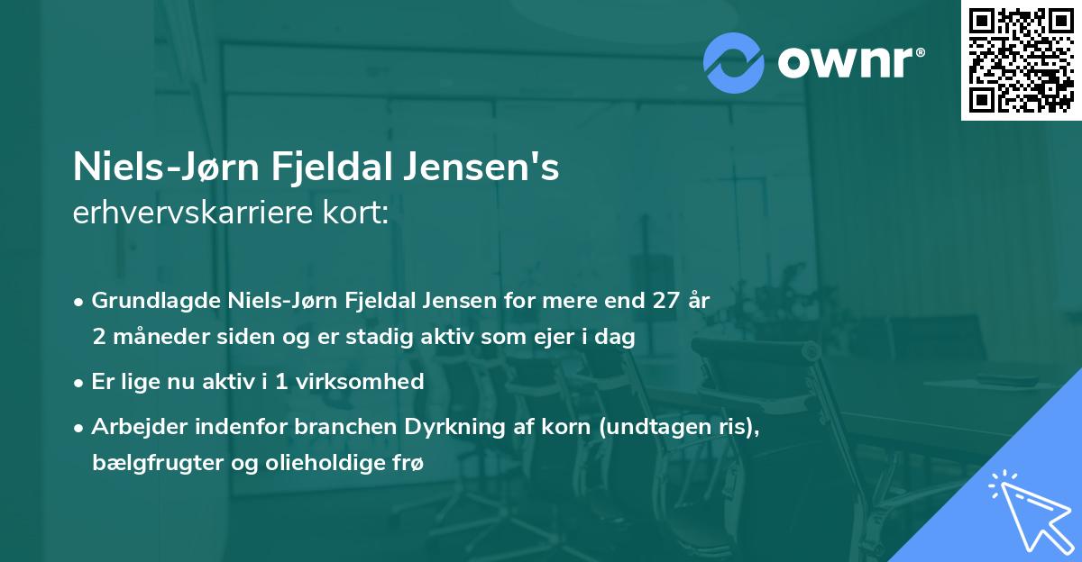 Niels-Jørn Fjeldal Jensen's erhvervskarriere kort