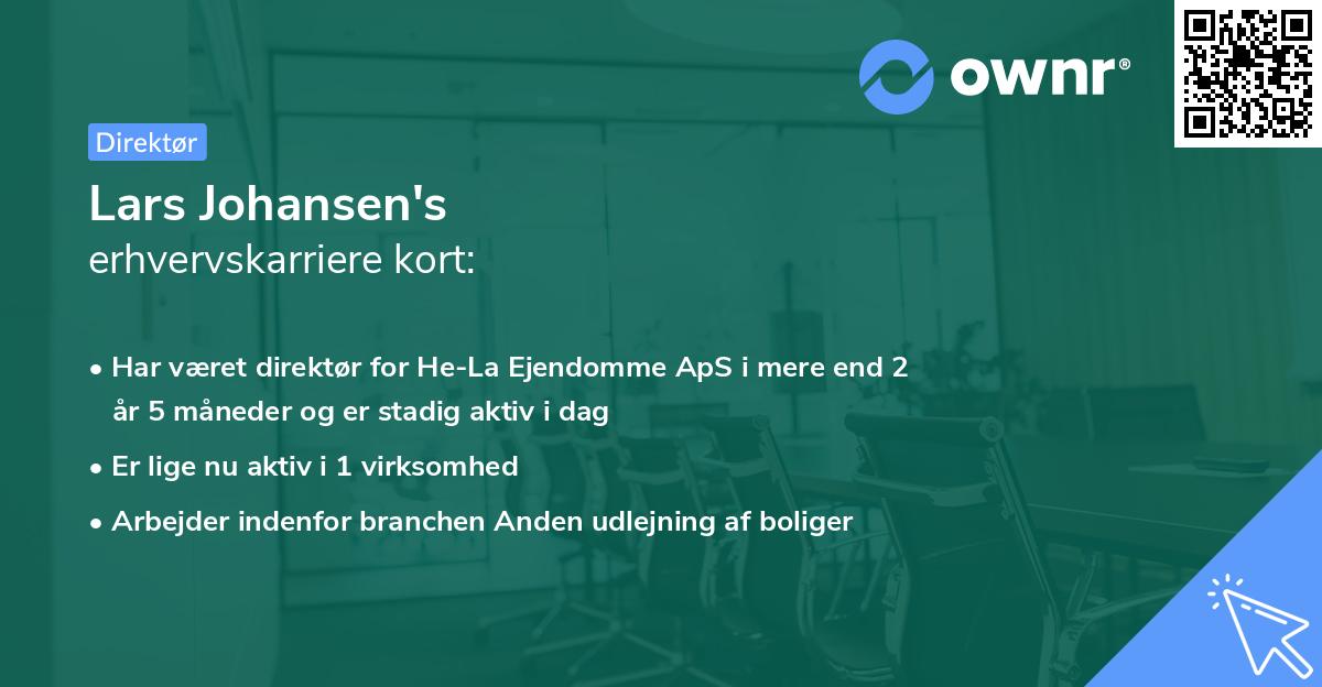 Lars Johansen's erhvervskarriere kort