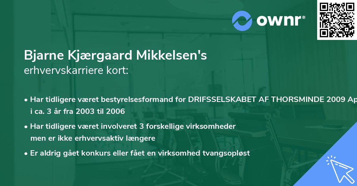 Bjarne Kjærgaard Mikkelsen's erhvervskarriere kort