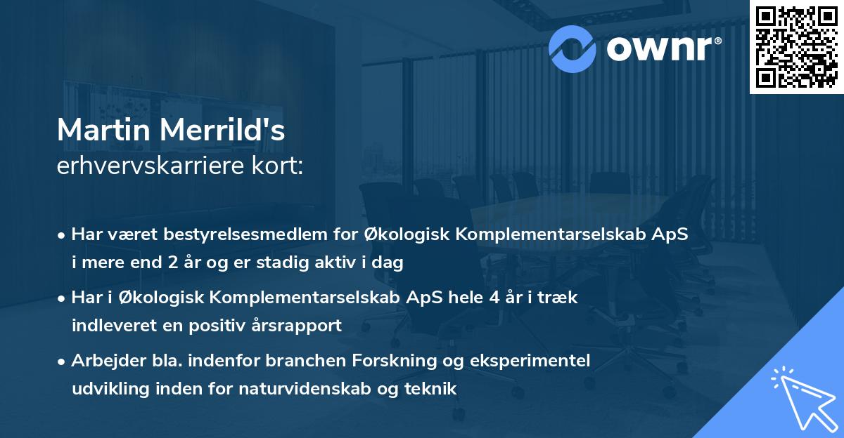 Martin Merrild's erhvervskarriere kort
